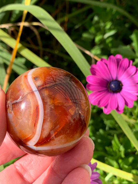 Carnelian Sphere - Madagascar