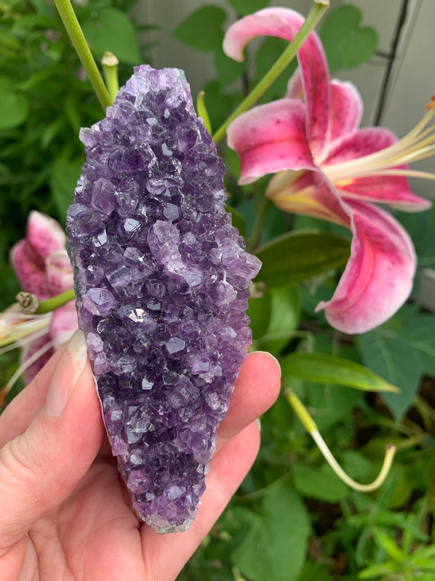 Amethyst Cluster