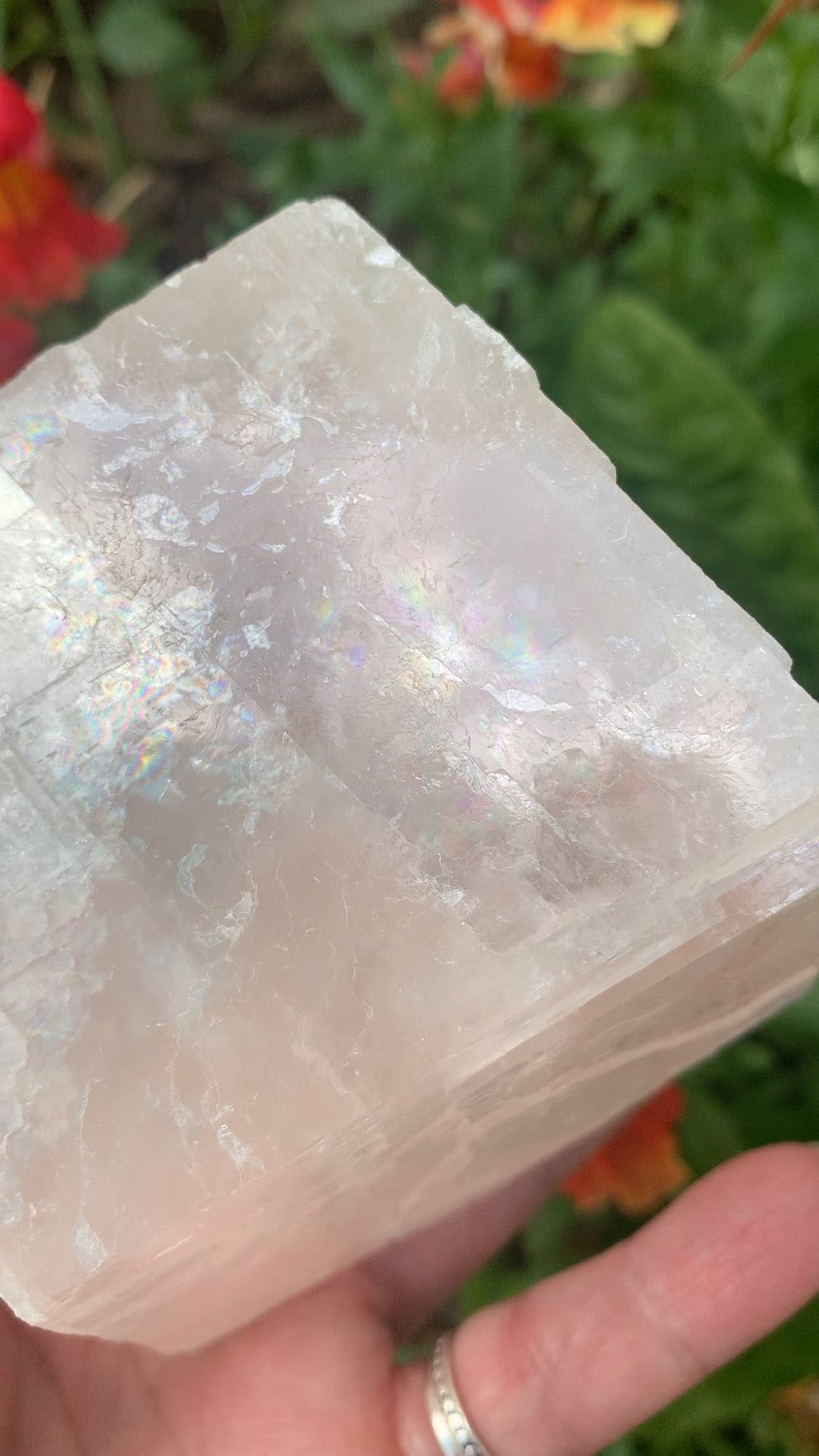 Pink Optical Calcite - Mexico