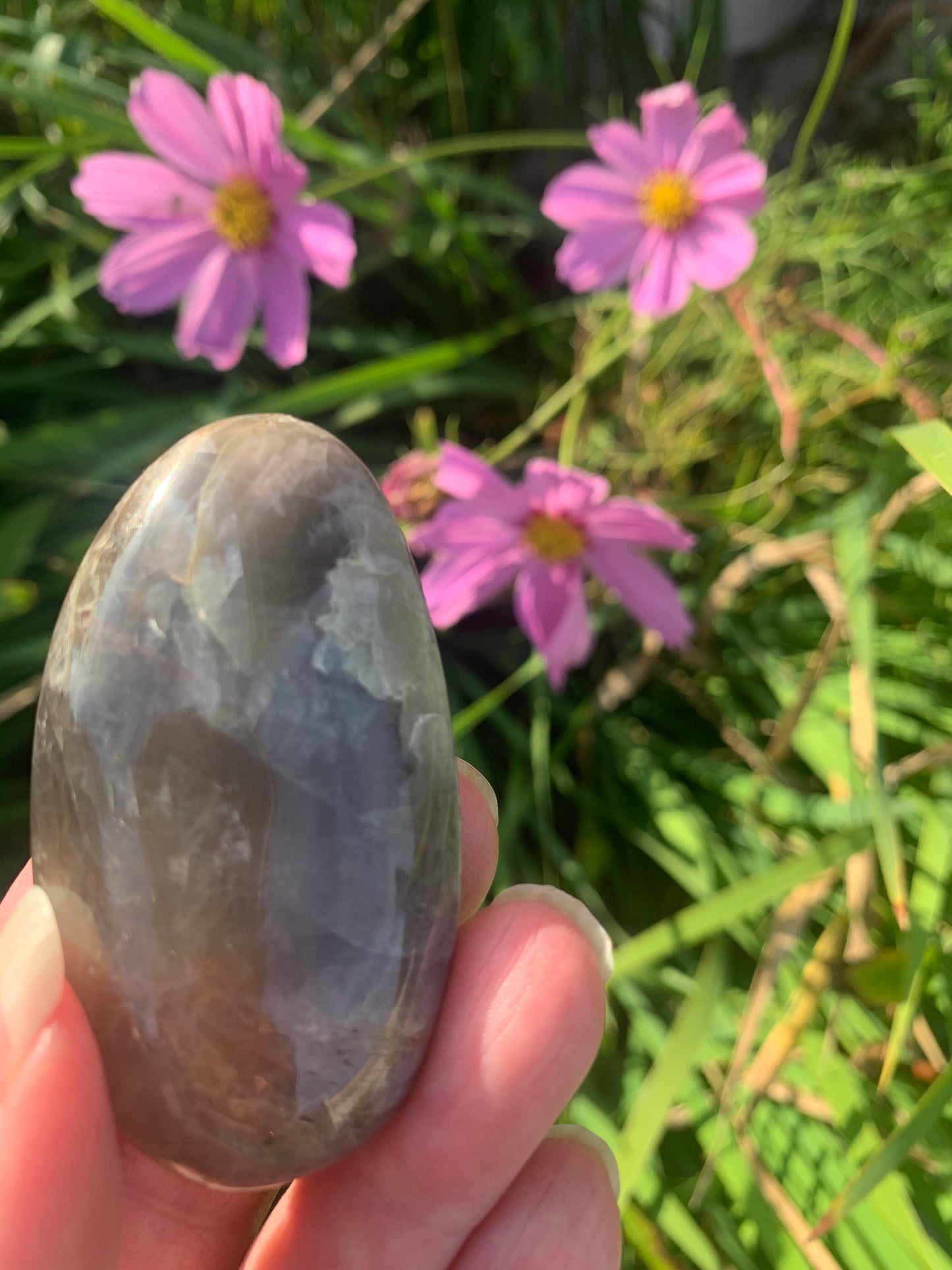 Black Moonstone Palm Stone