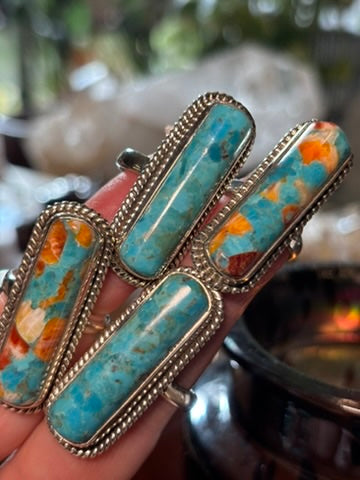 Spiny Oyster and Turquoise Rings