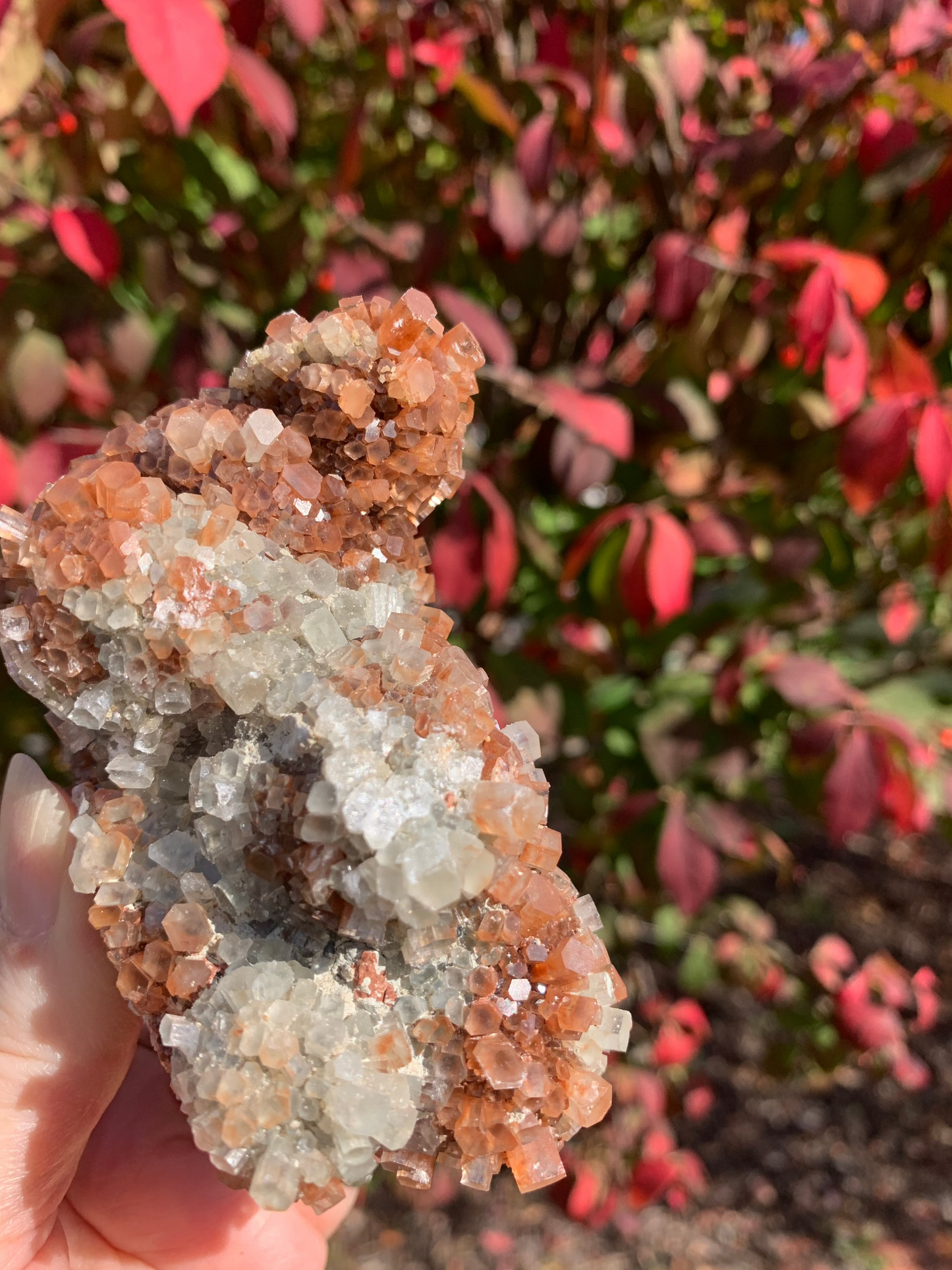 Star Aragonite Cluster