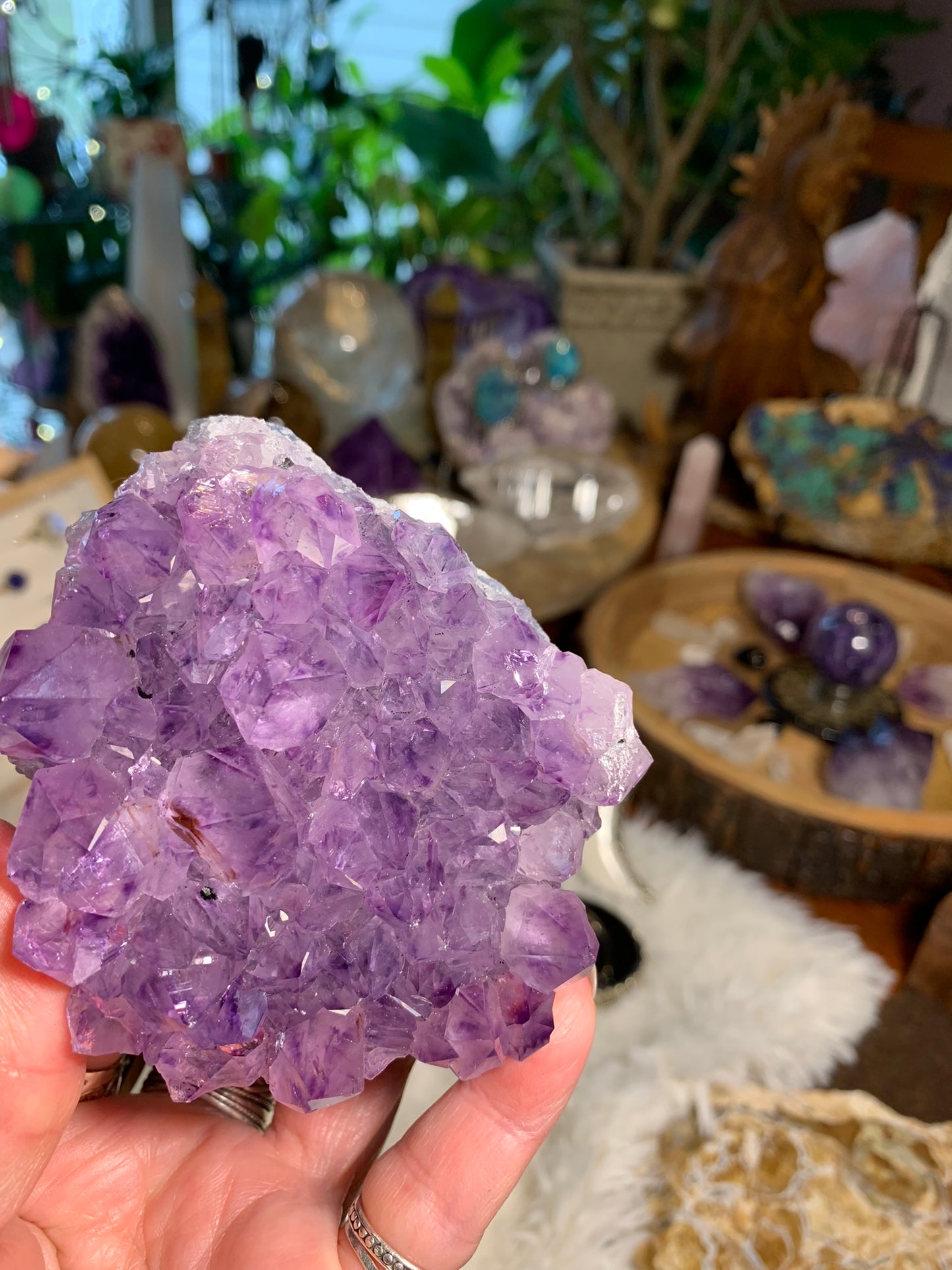 Phantom Amethyst - Cluster - Brazil