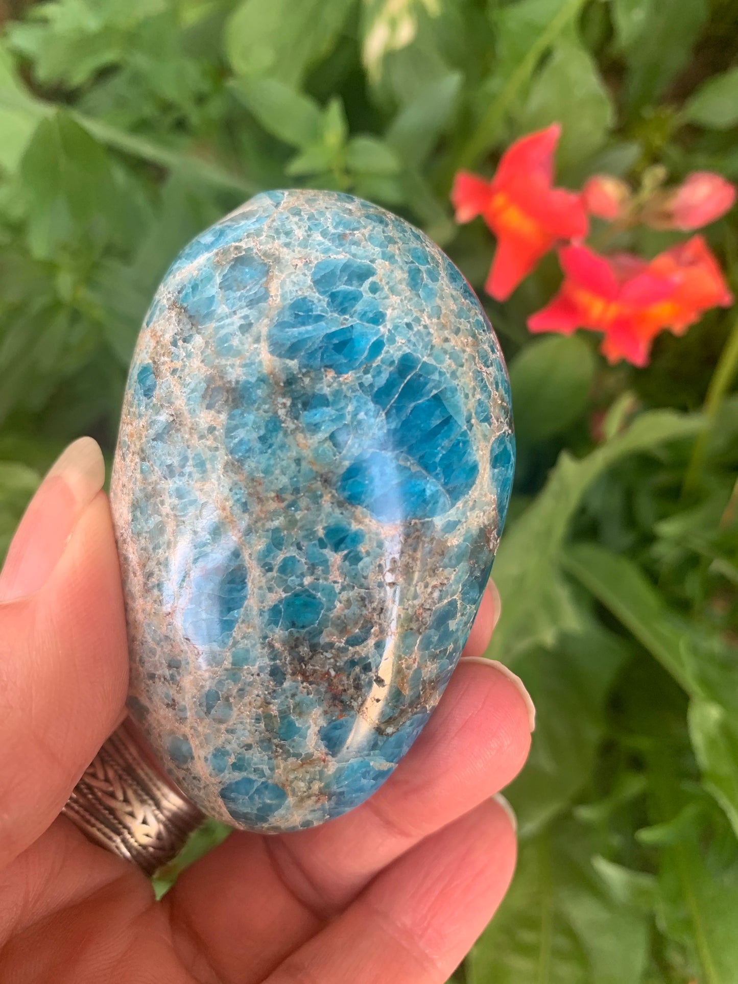 Blue Apatite Palm Stone