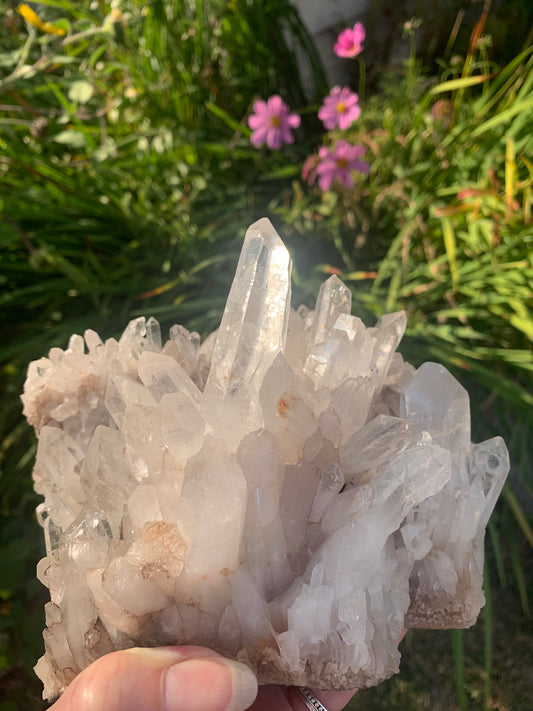 Lemurian Quartz Cluster