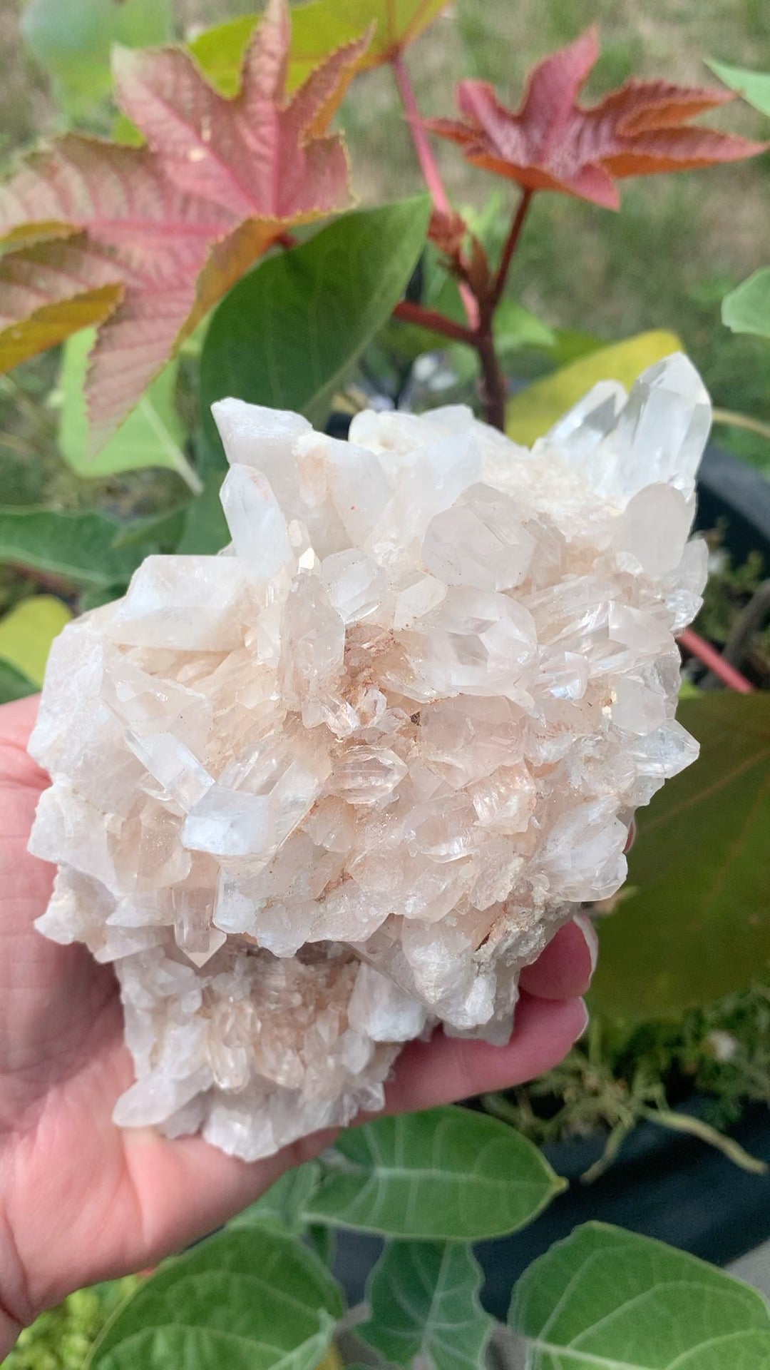 Quartz Cluster