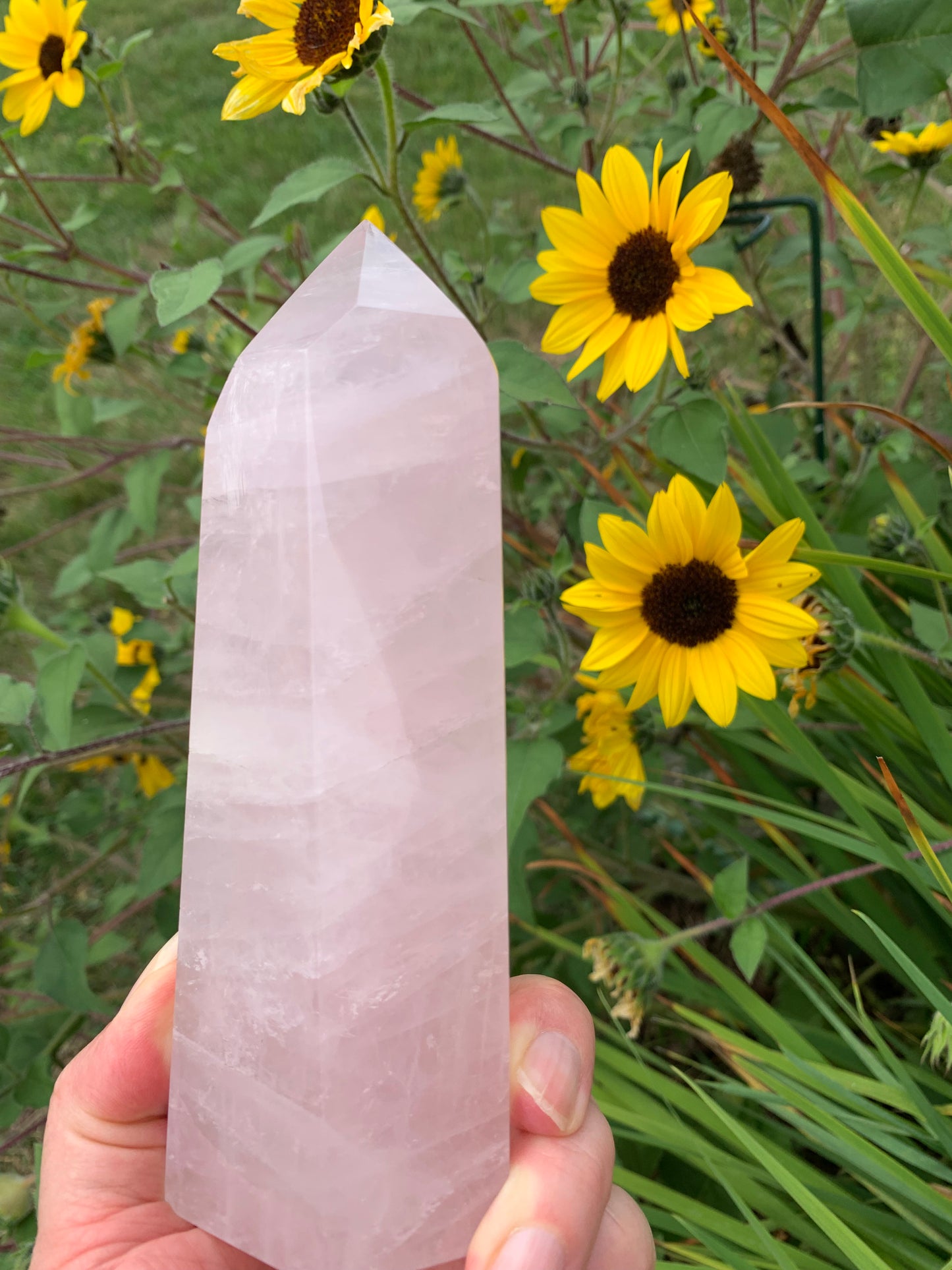 Rose Quartz Generator - Madagascar