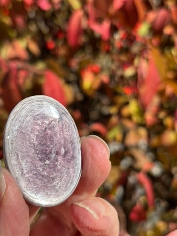 Gem Lepidolite - Palm Stone