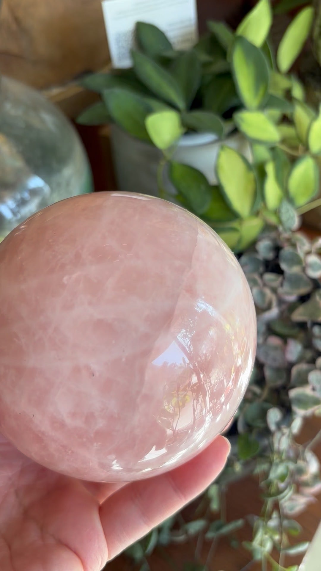 Rose Quartz | Sphere | Madagascar