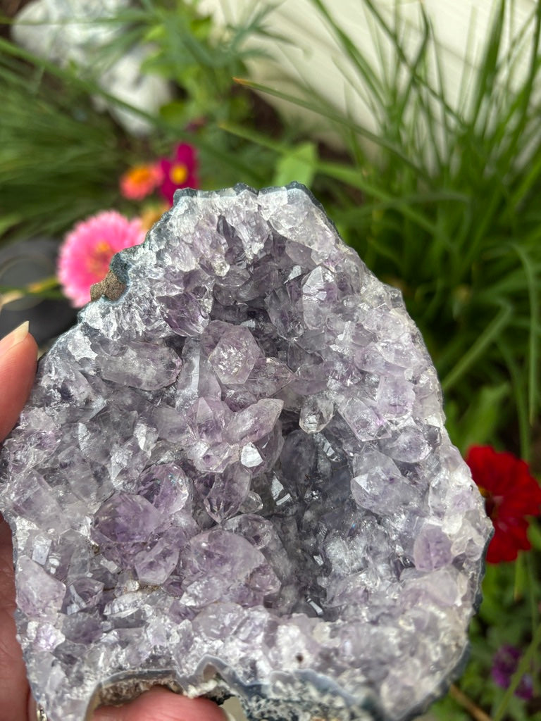 Amethyst Cluster | Brazil