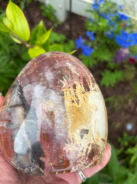 Petrified Wood - Free Form - Madagascar