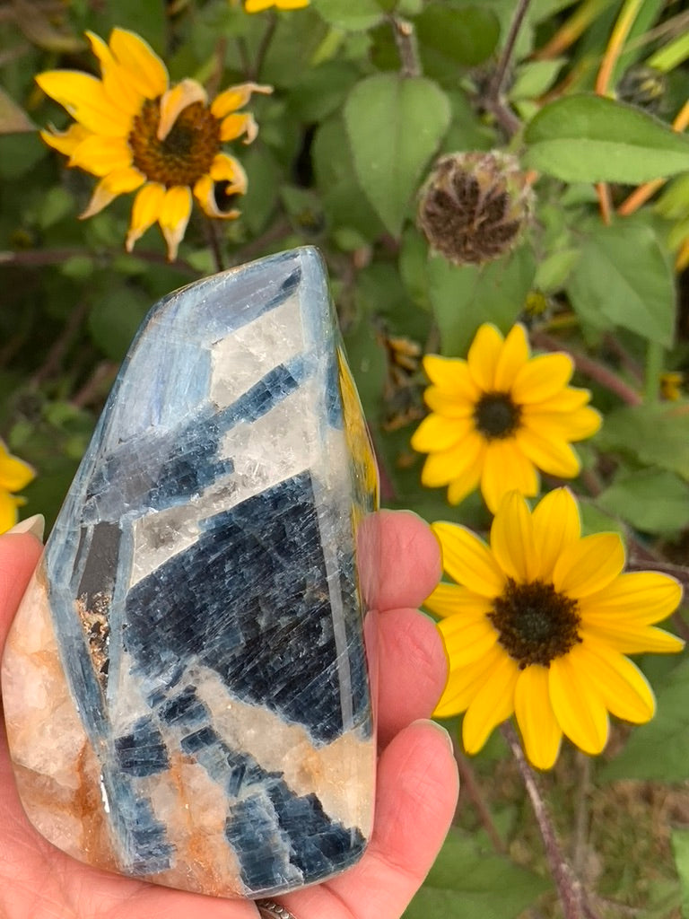 Blue  Kyanite with Quartz Free Form - India