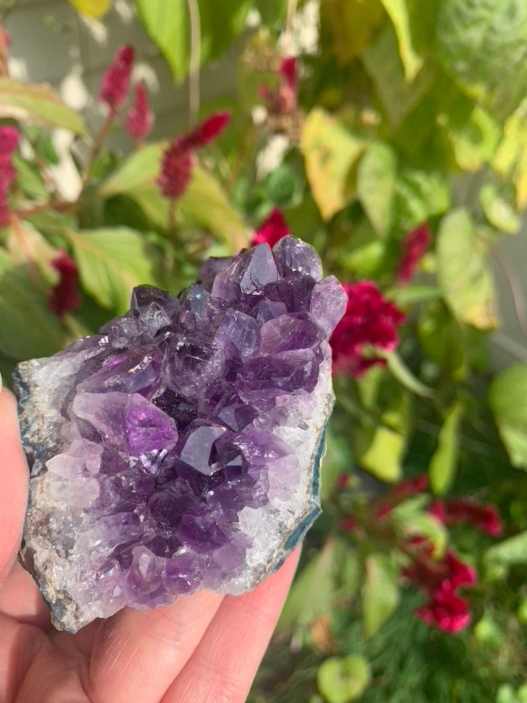 Amethyst Cluster