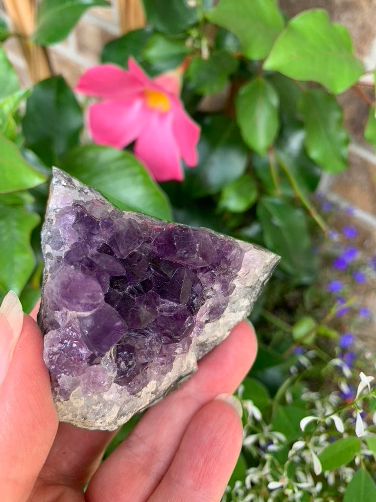 Amethyst Cluster