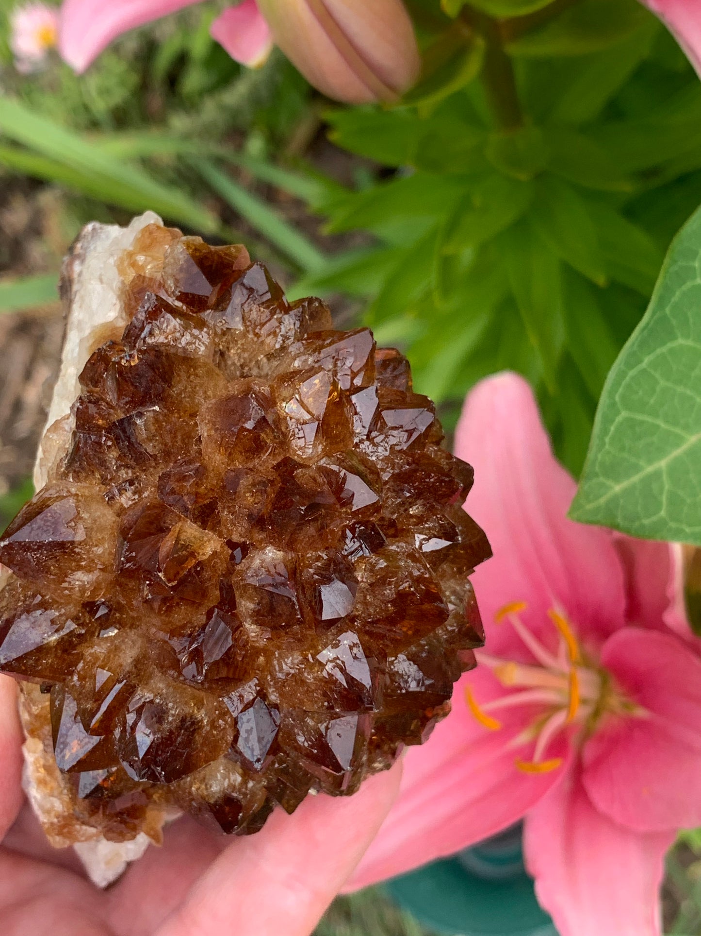 Pine Citrine Cluster - Brazil