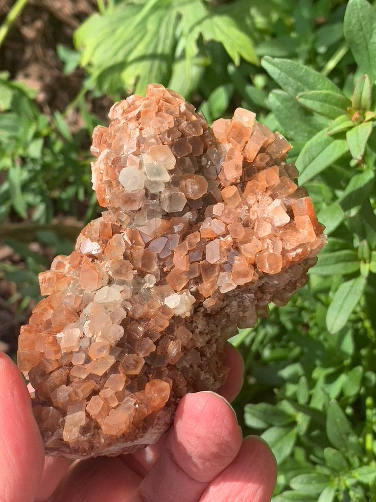 Star Aragonite Cluster