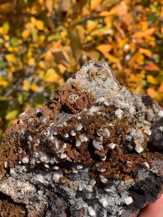 Goethite and Calcite with inclusions Cluster - Morocco