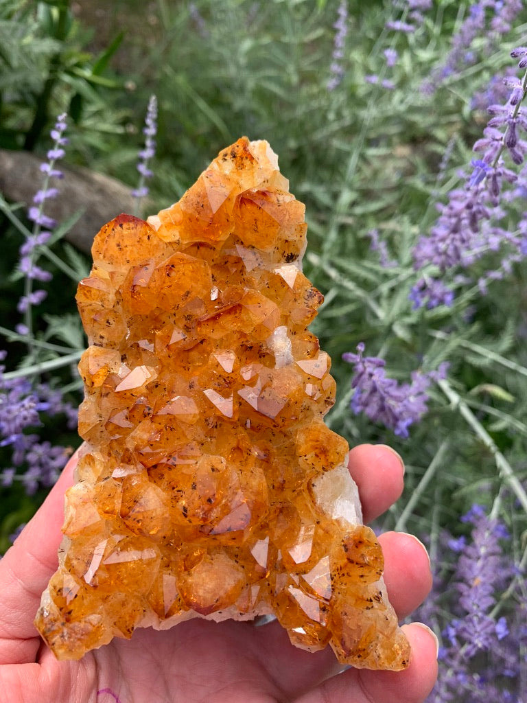 Golden Amethyst - Citrine Cluster - Madagascar