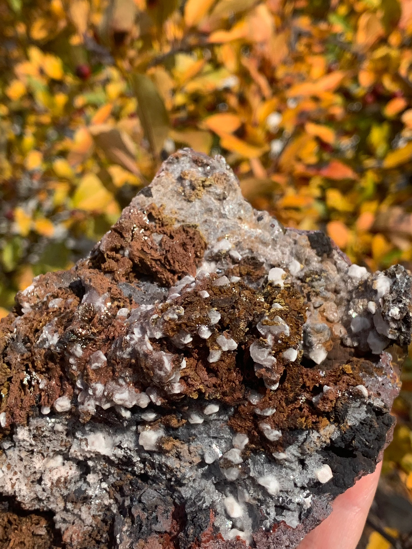 Goethite and Calcite with inclusions Cluster - Morocco