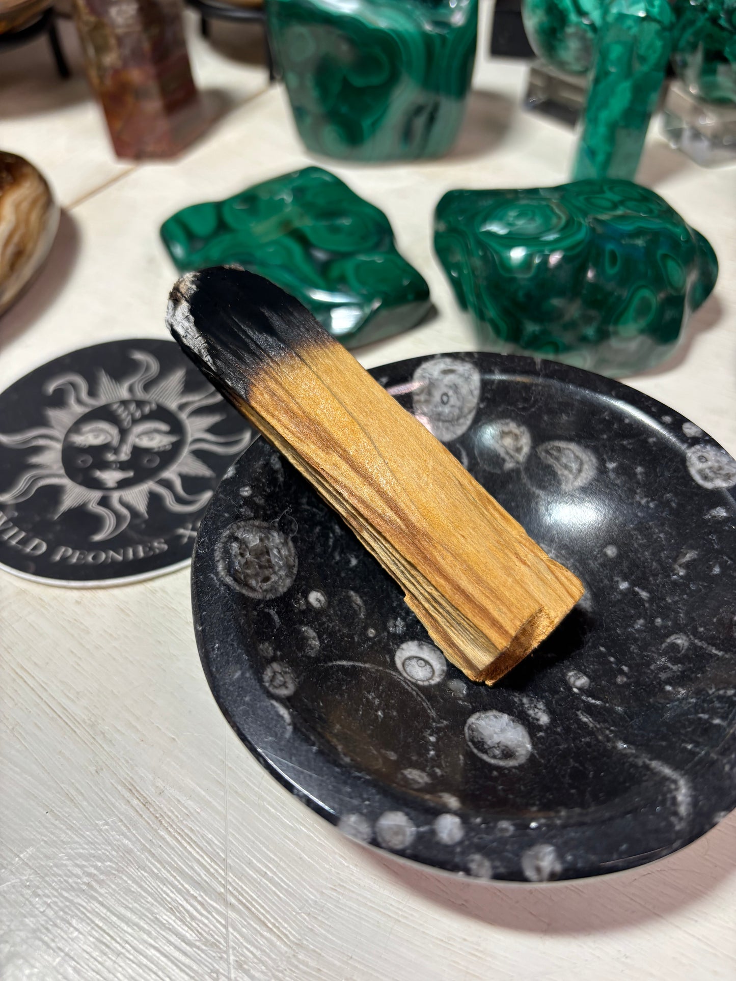 Orthoceras Bowl | Morocco