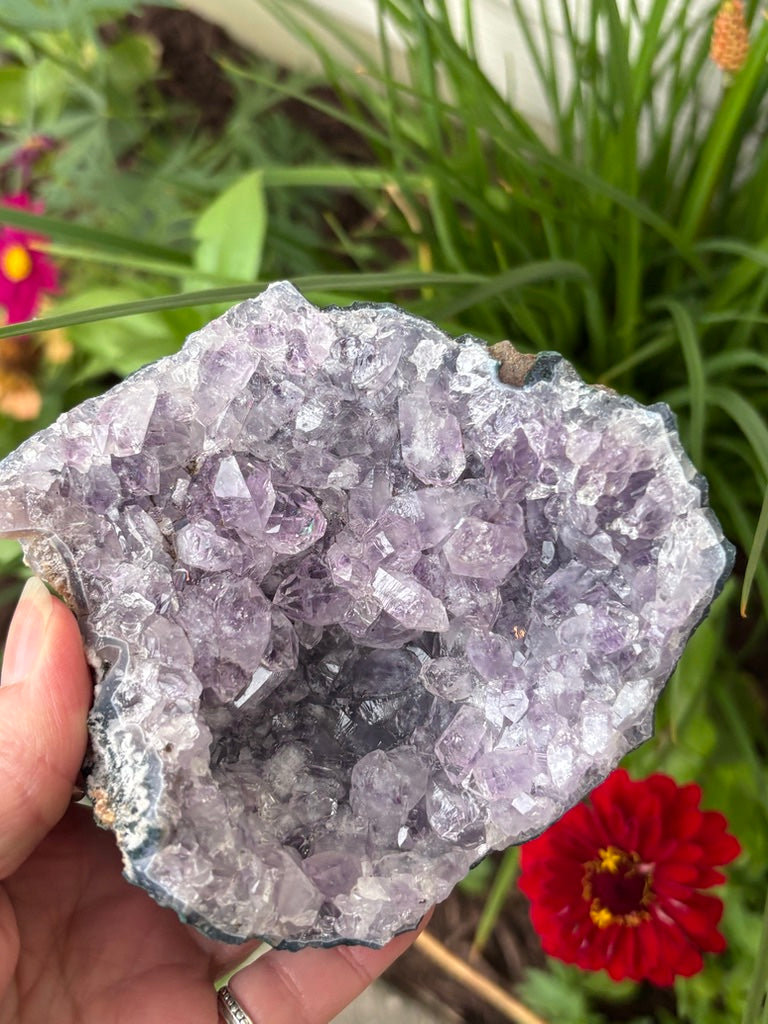 Amethyst Cluster | Brazil