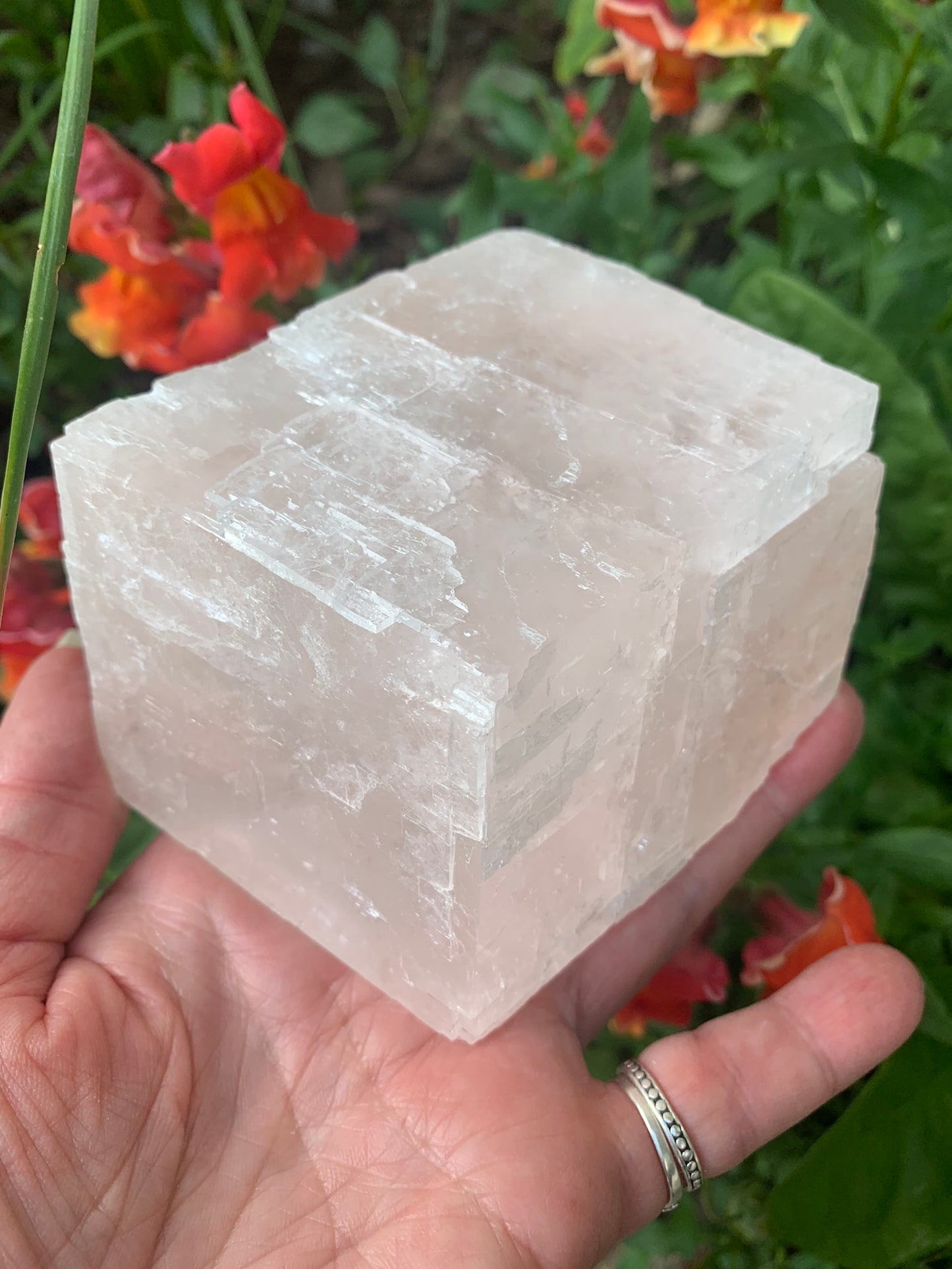 Pink Optical Calcite - Mexico