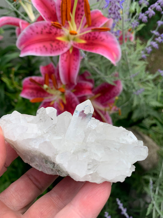 Quartz Cluster