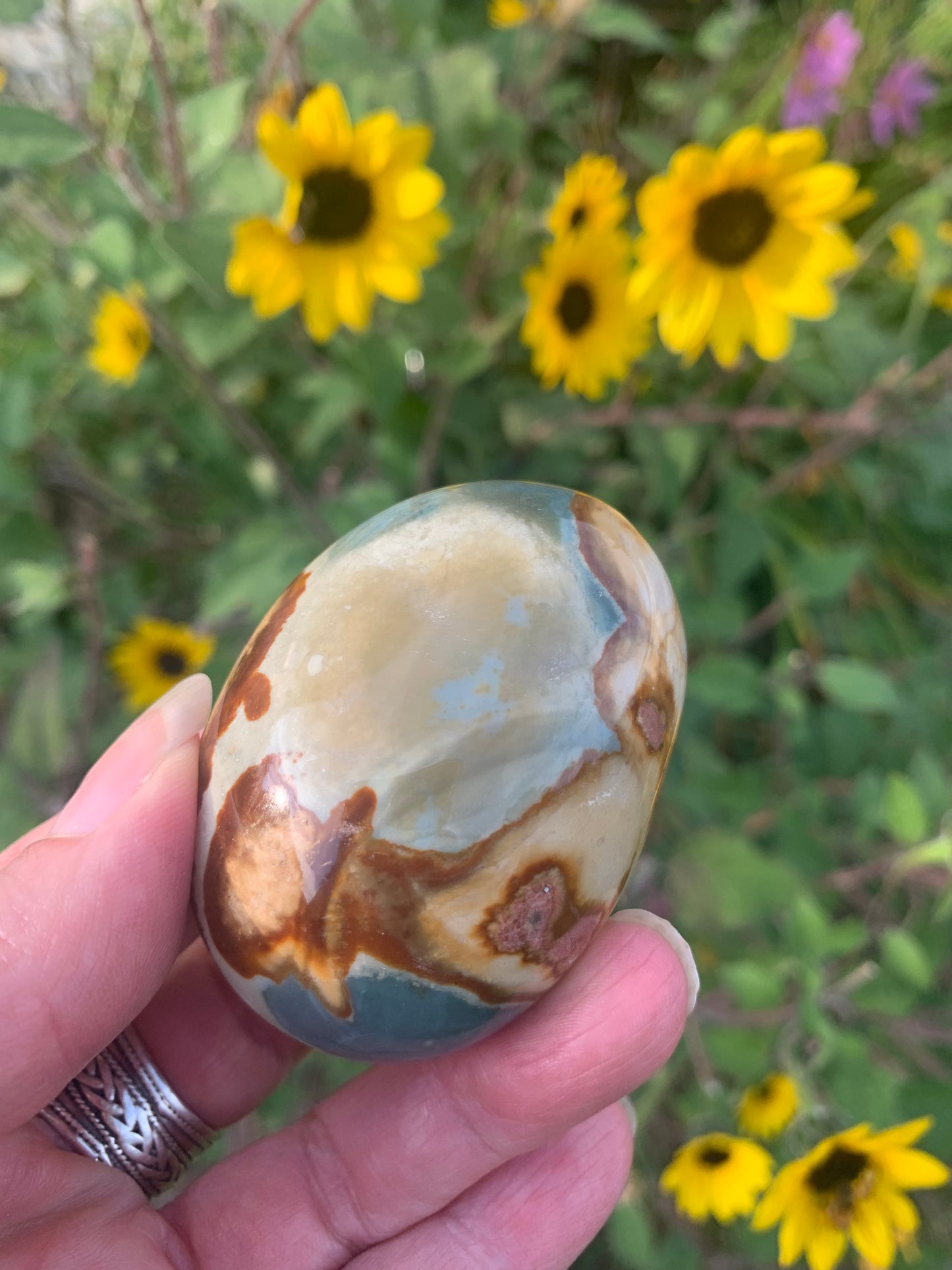 Polychrome Jasper Palm Stone