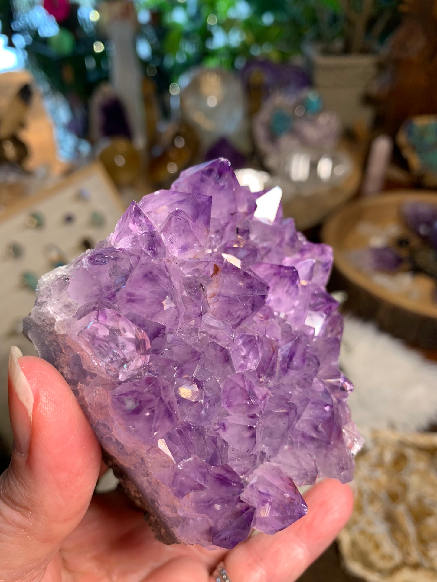 Phantom Amethyst - Cluster - Brazil