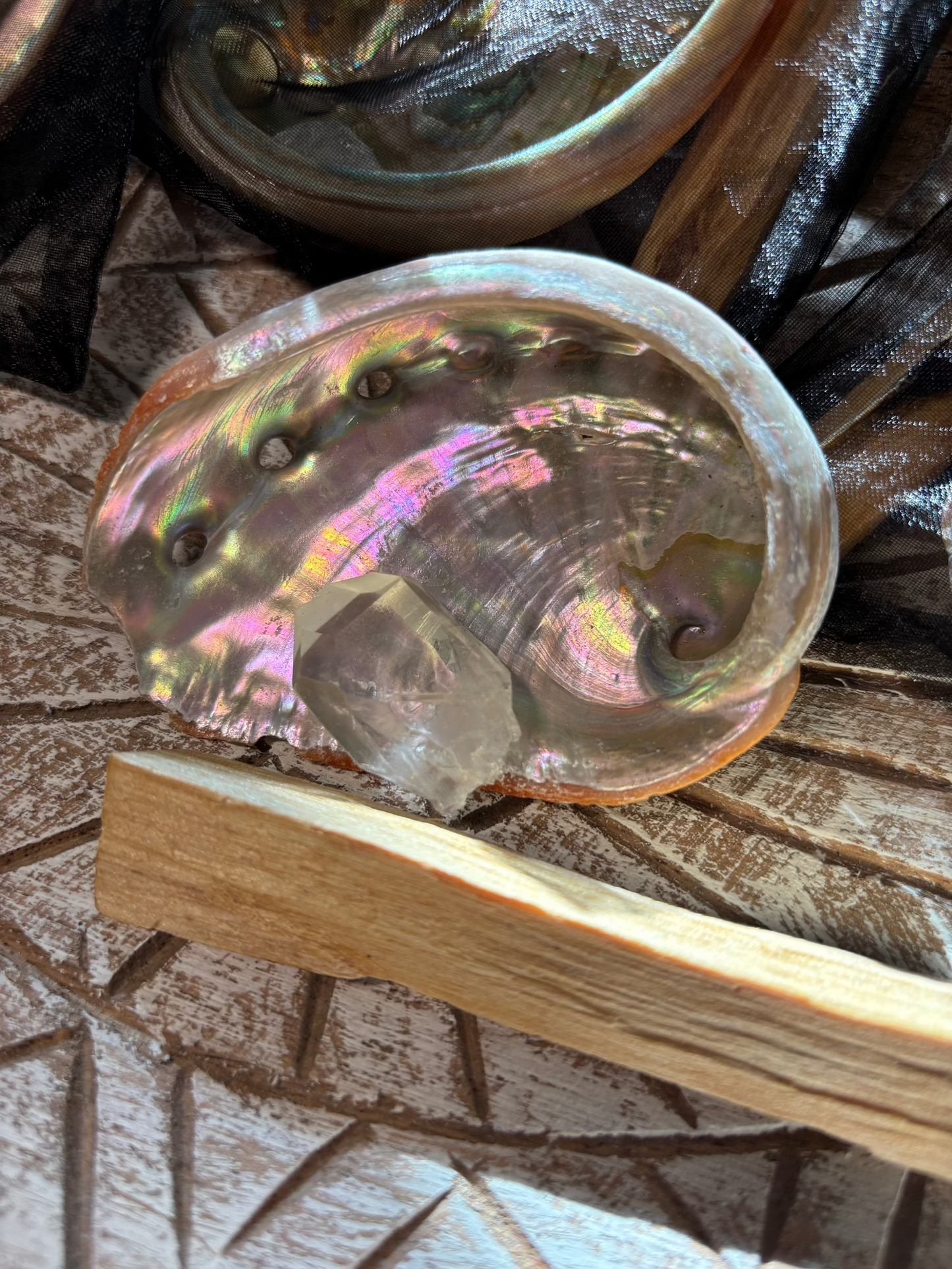 Mini Abalone Smudge Kit