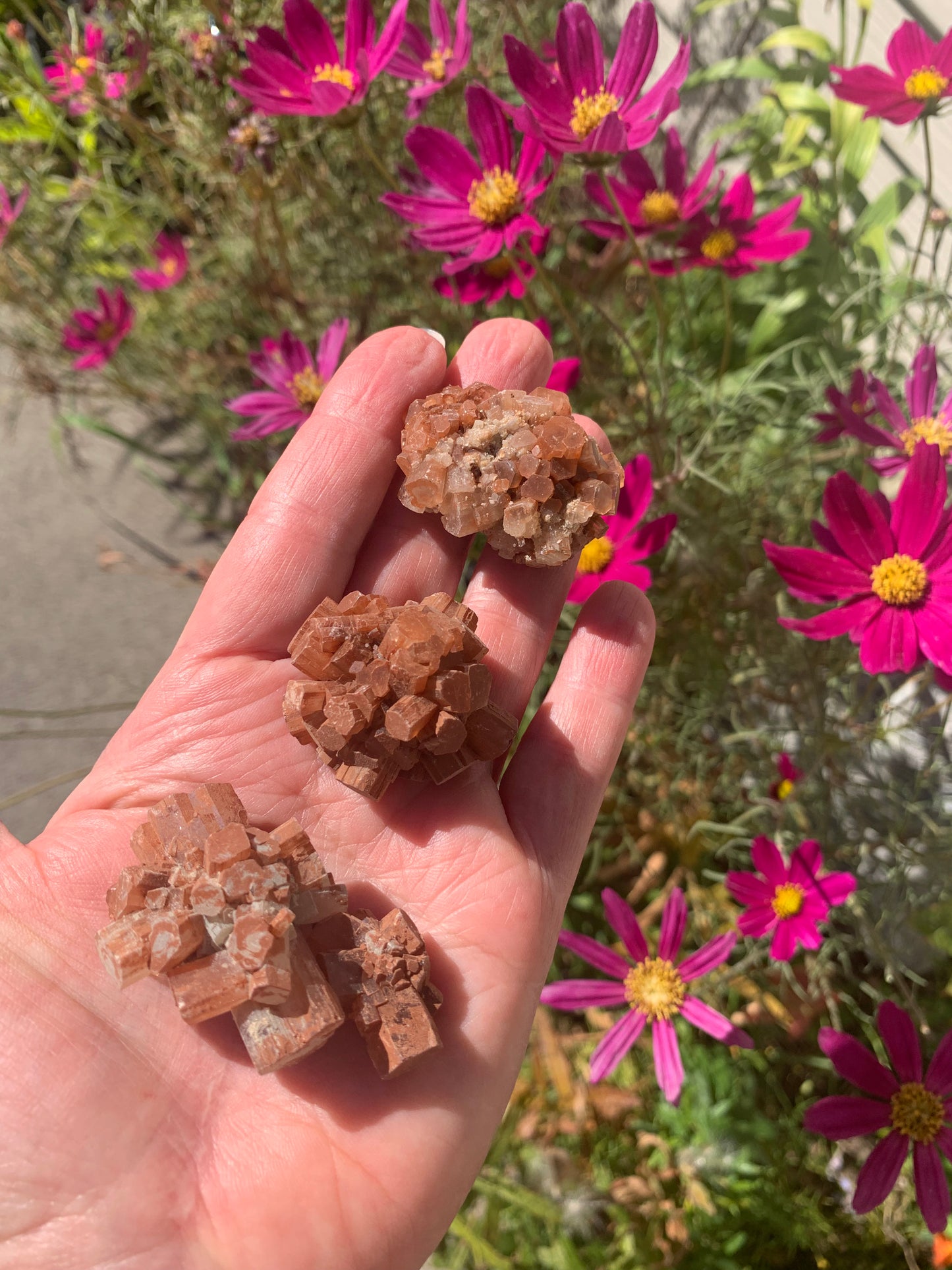 Star Aragonite Cluster