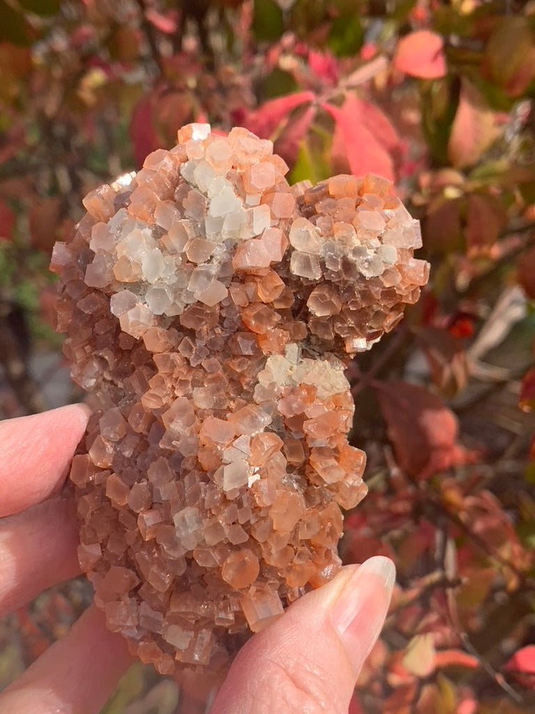 Star Aragonite Cluster