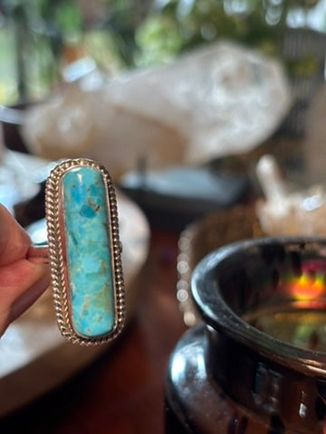 Spiny Oyster and Turquoise Rings
