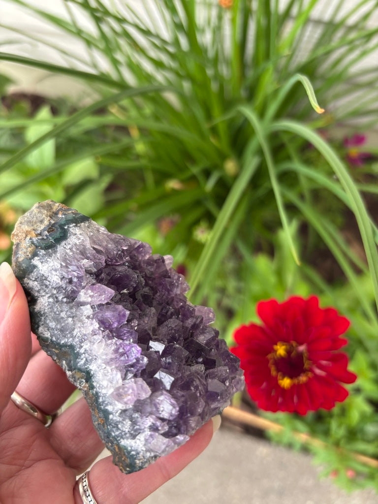Amethyst Cluster | Uruguay