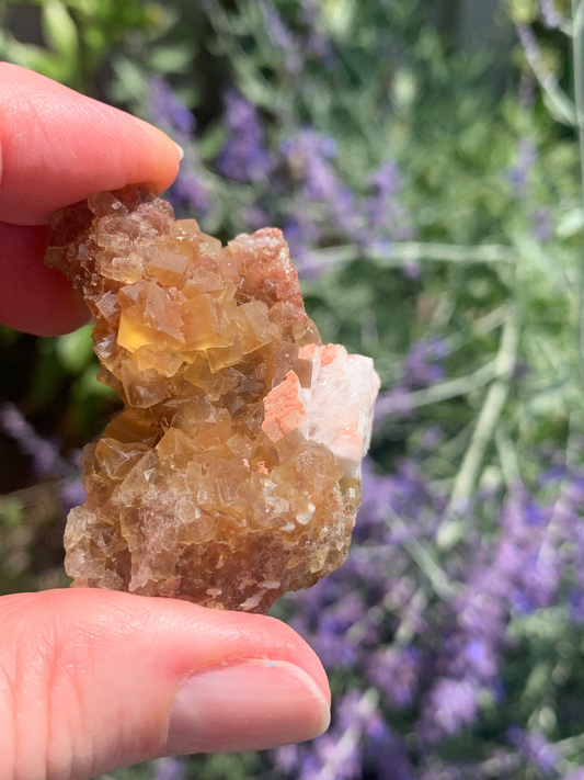 Cubic Yellow Fluorite cluster