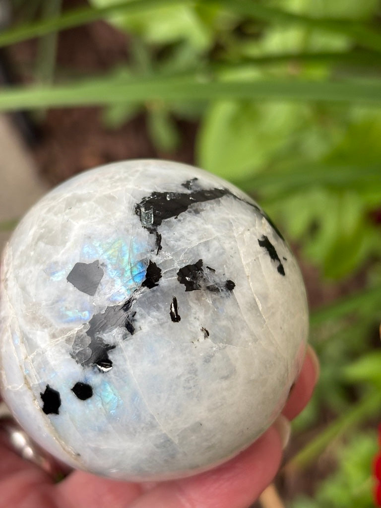 Rainbow Moonstone - Sphere | India