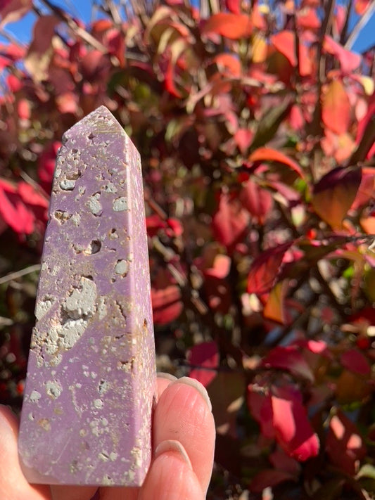 Phophosiderite Obelisk - Peru