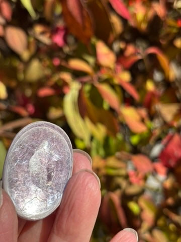 Gem Lepidolite - Palm Stone