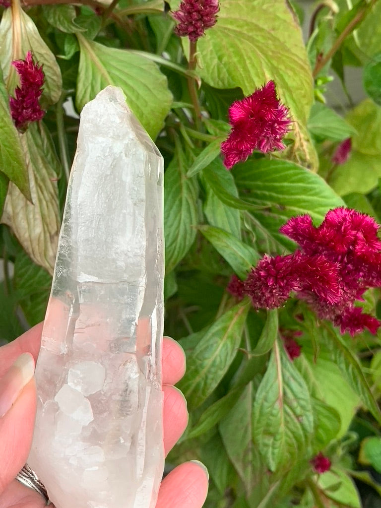 Lemurian Quartz Point