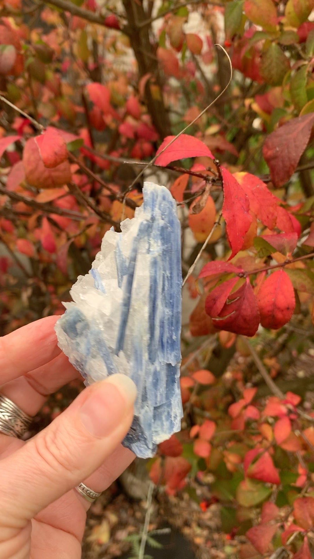 Blue  Kyanite with Quartz natural - Brazil