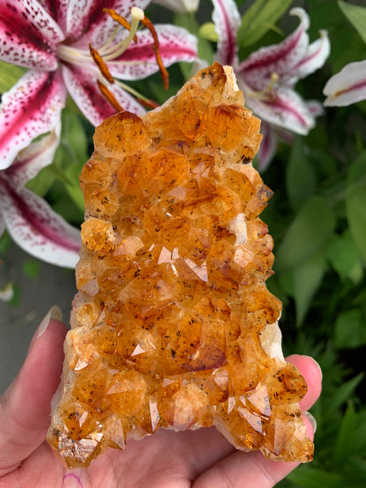 Golden Amethyst - Citrine Cluster - Madagascar