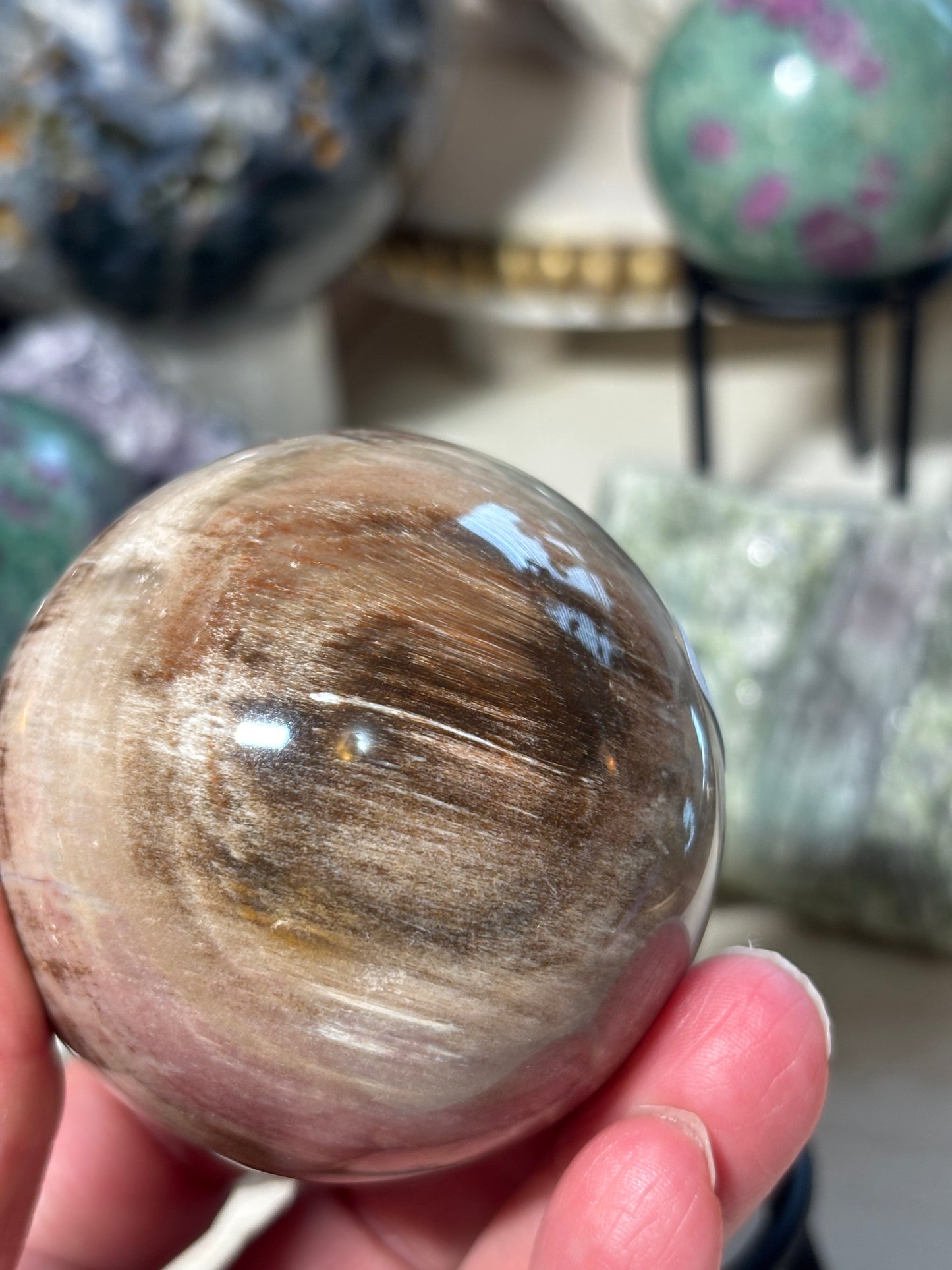 Petrified Wood Sphere - Madagascar
