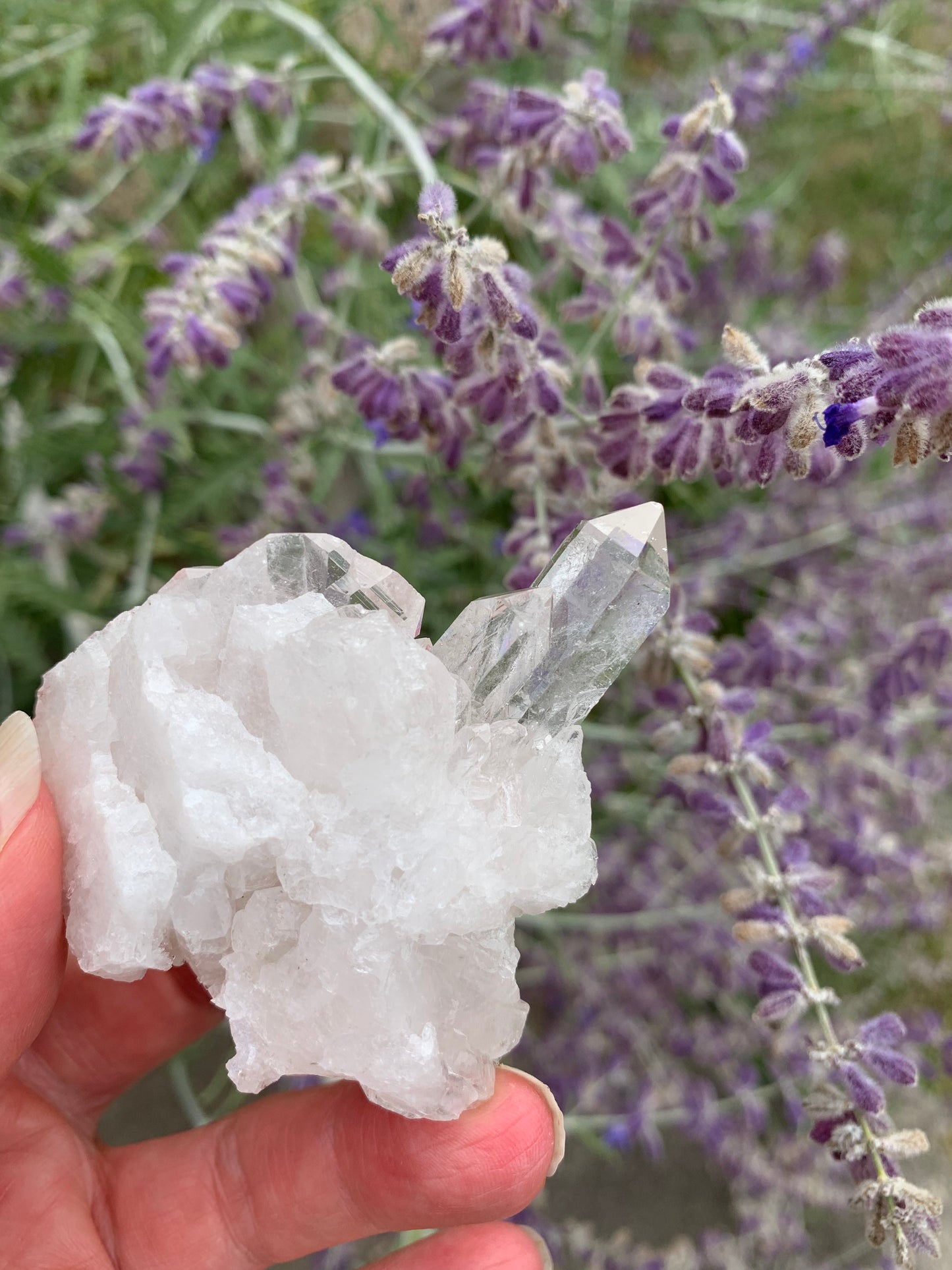 Faden Quartz Cluster