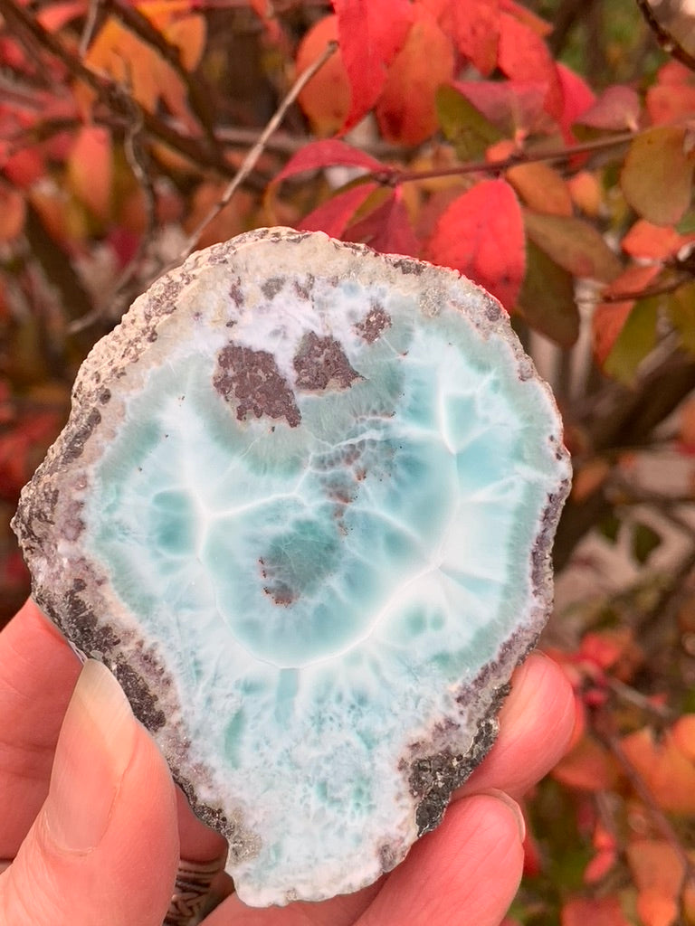 Larimar Slice - Polished one side