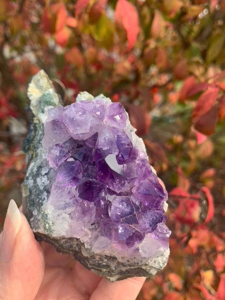 Amethyst Cluster with Goethite Inclusions