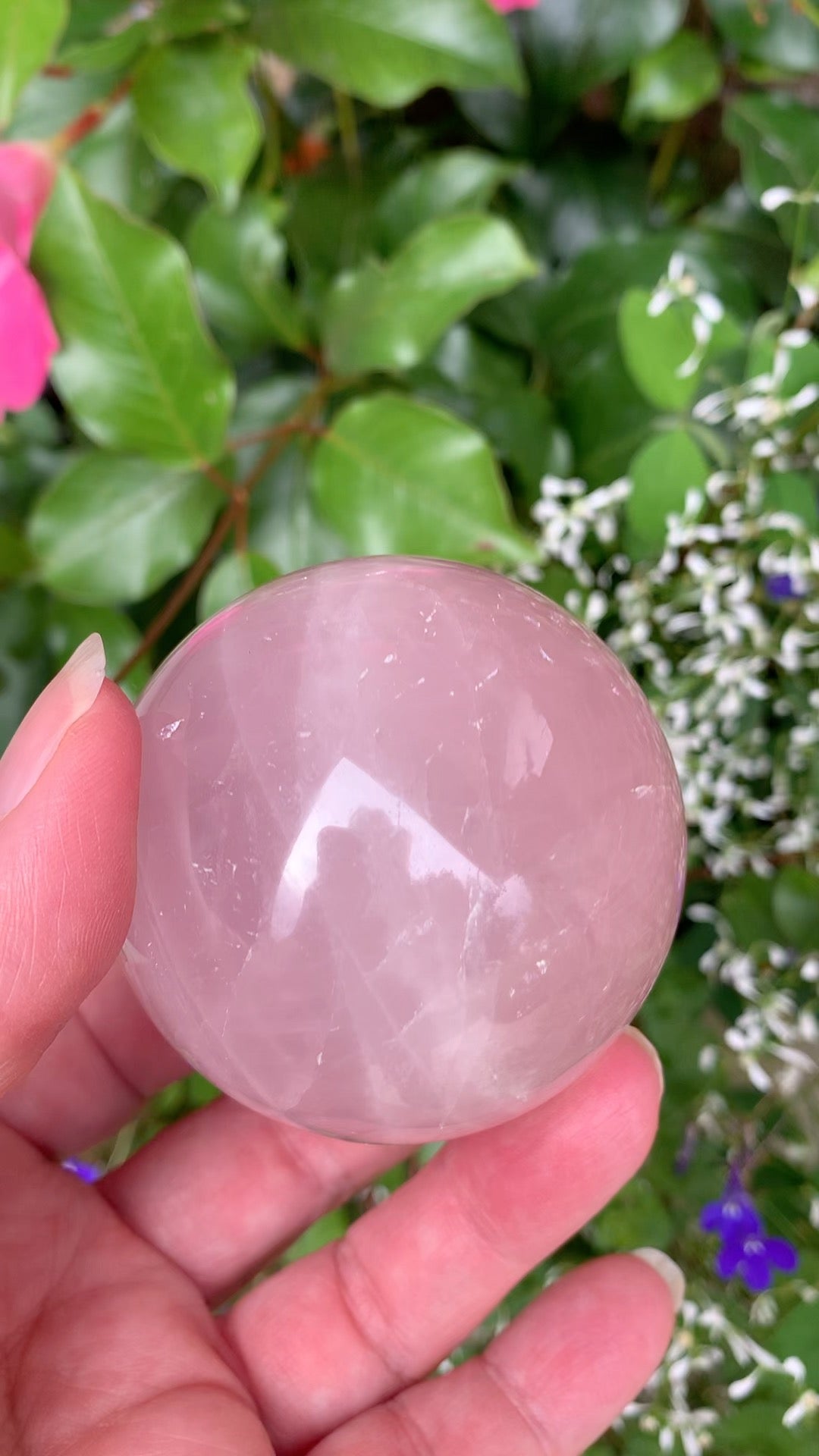 Star Rose Quartz Sphere