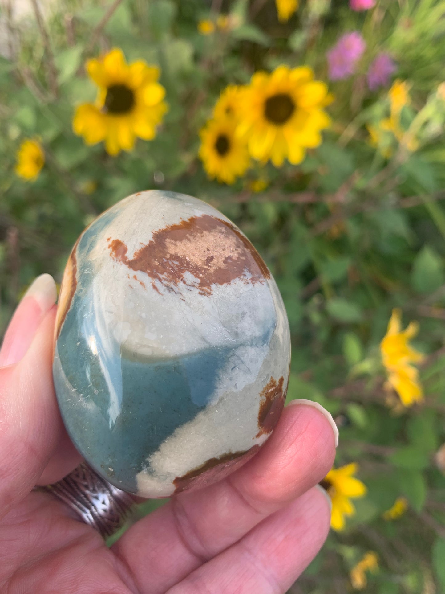 Polychrome Jasper Palm Stone