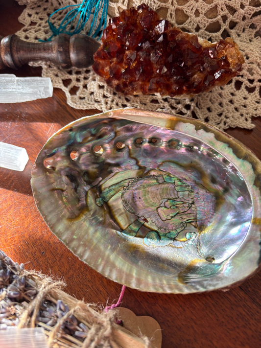 Abalone Shell Dish