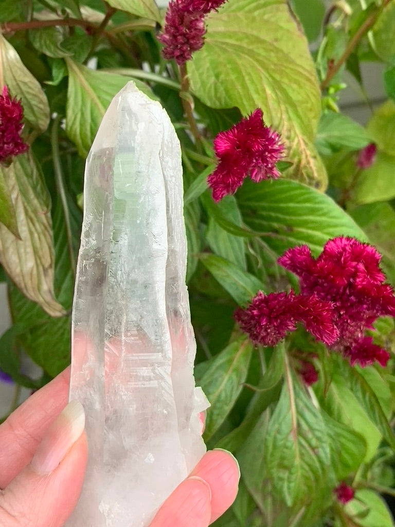 Lemurian Quartz Point