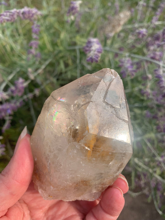 Rainbow Lemurian Smokey Quartz Point with inclusions